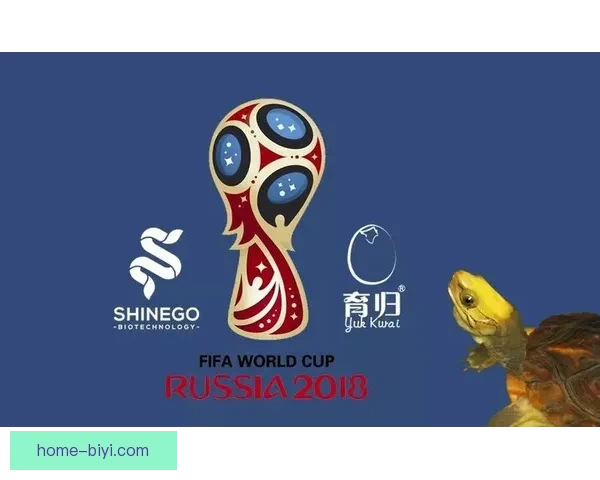 世界杯竞猜盛宴开启，赢取丰厚奖品，助你预测胜负，畅享足球激情！